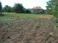 The yard